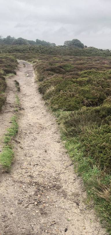 Preview of Winter walk around Dunwich Heath