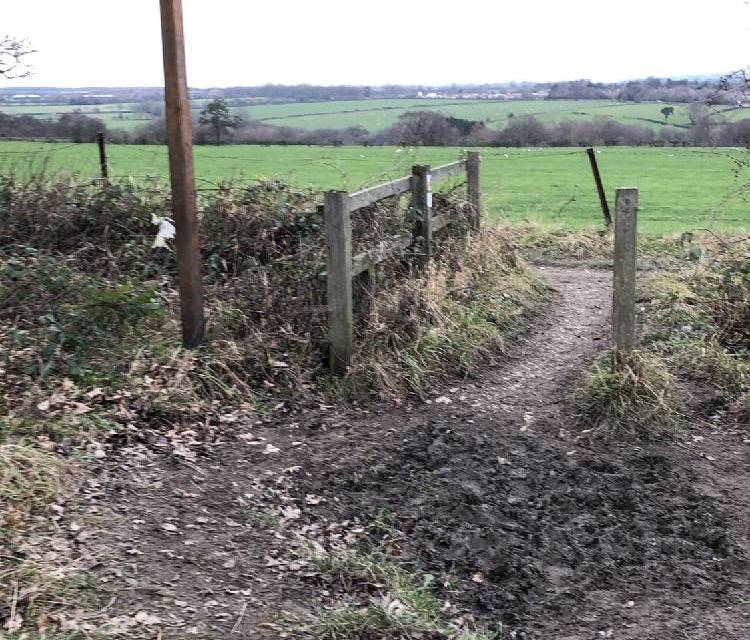Preview of Pinewoods Circular