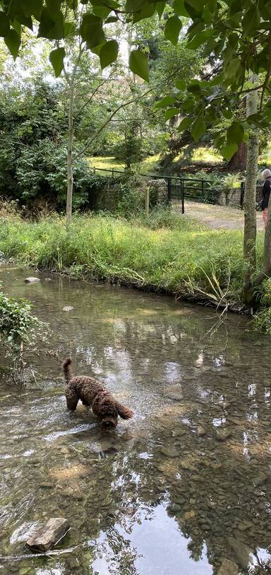 Preview of Ridge Wood & Alongside River Frome