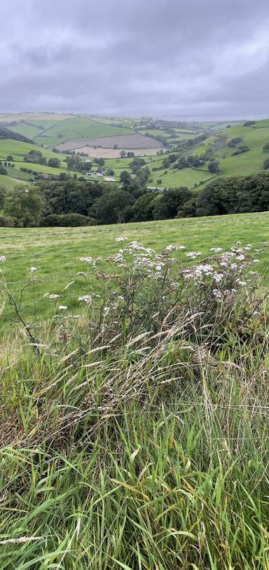 Preview of Offa’s Dyke Path from Knighton