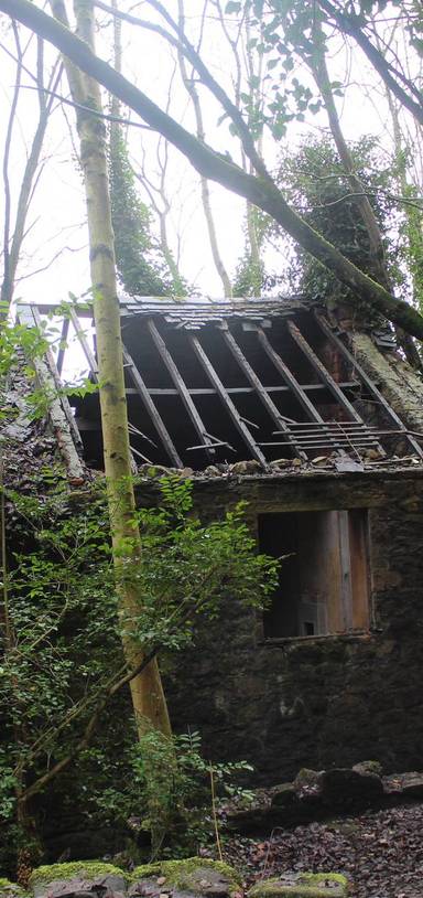 Preview of Abandoned wire works