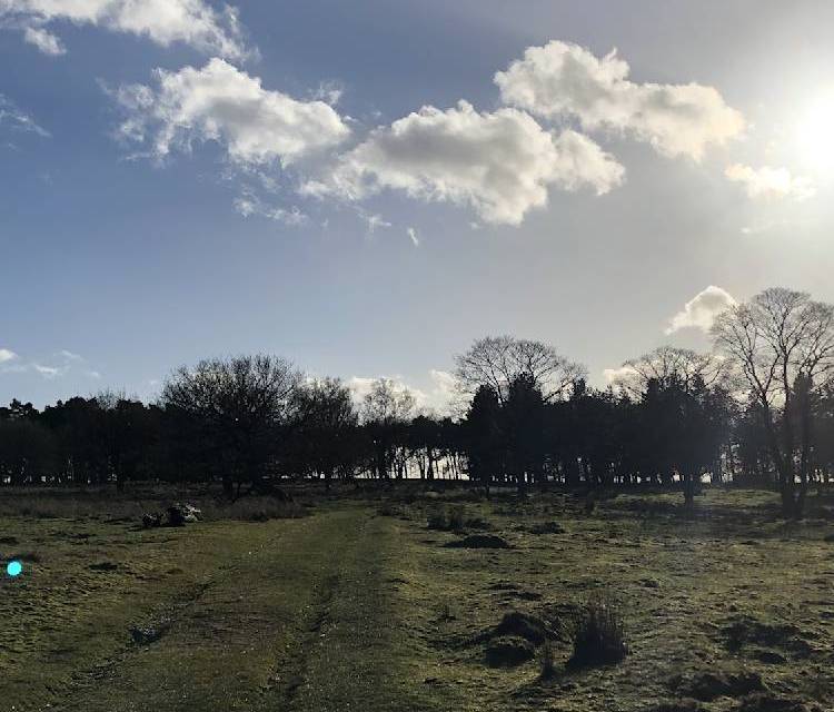 Preview of Mindfulness walking in the Peaks