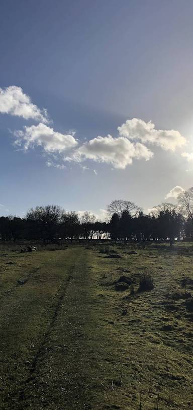 Preview of Mindfulness walking in the Peaks