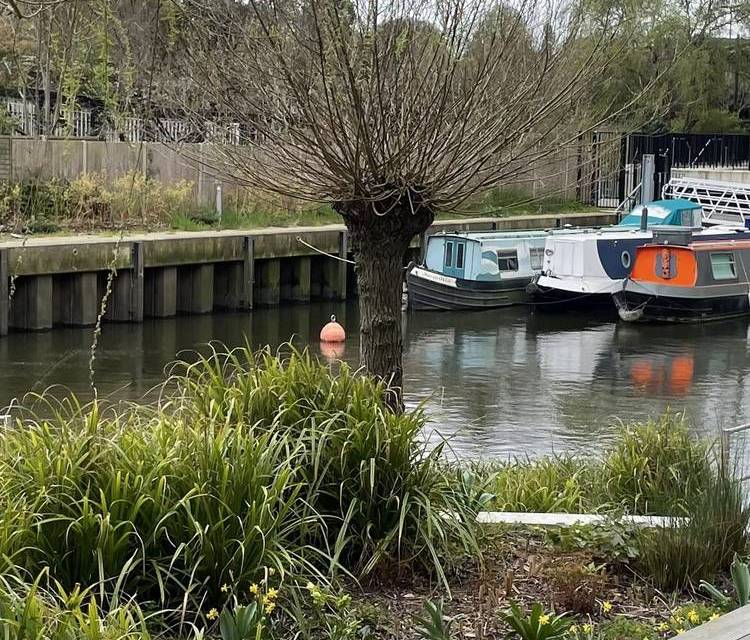 Preview of Brentford & Thames Path Step-free