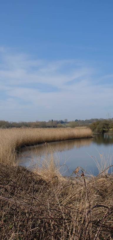 Preview of Manningtree to Flatford Mill