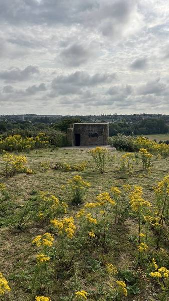 Preview of Hadleigh pillbox