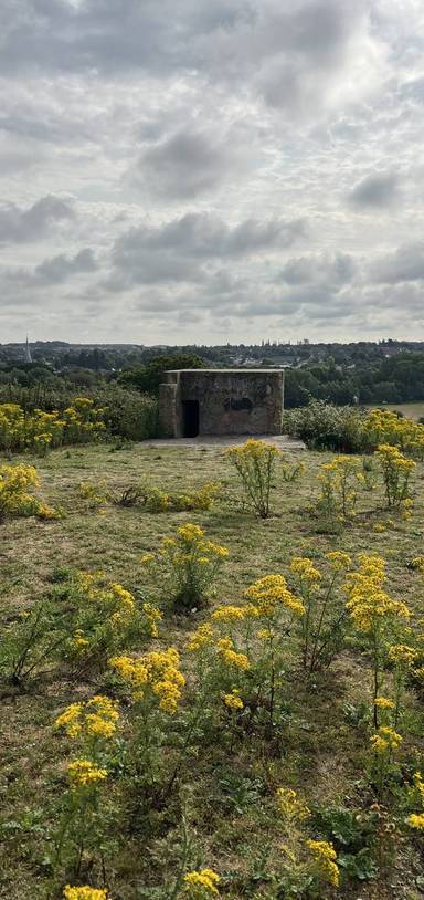 Preview of Hadleigh pillbox