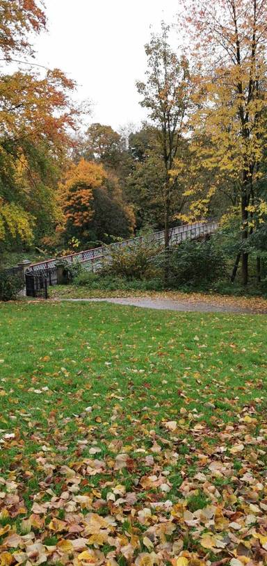Preview of Queen's Park step-free walk