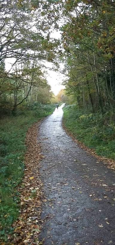 Preview of Books & Boots, Bowls & Balls