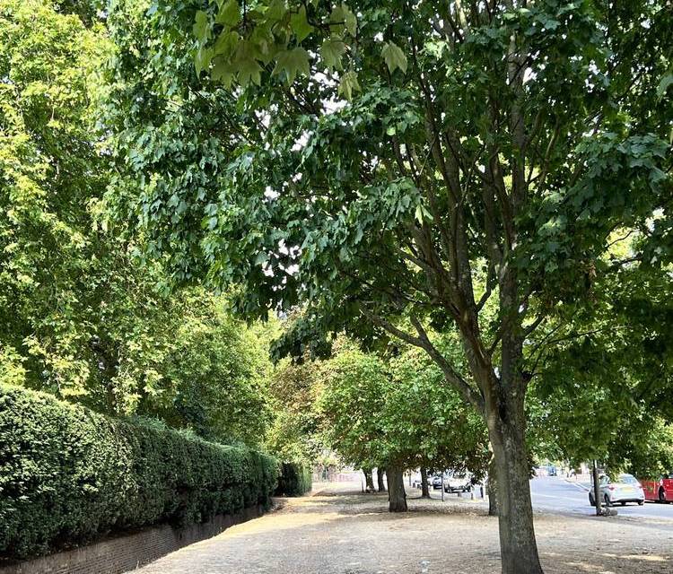 Preview of Green Chain Walk Section 4a