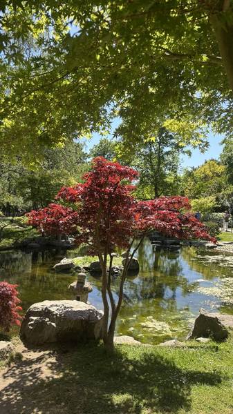 Preview of Holland Park: A Climate Walk