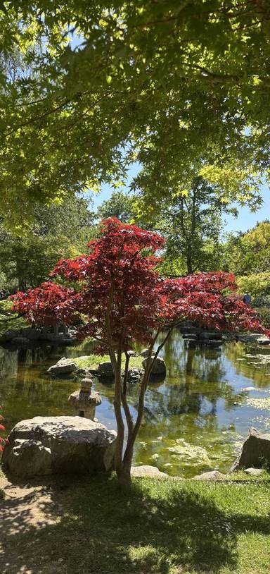Preview of Holland Park: A Climate Walk