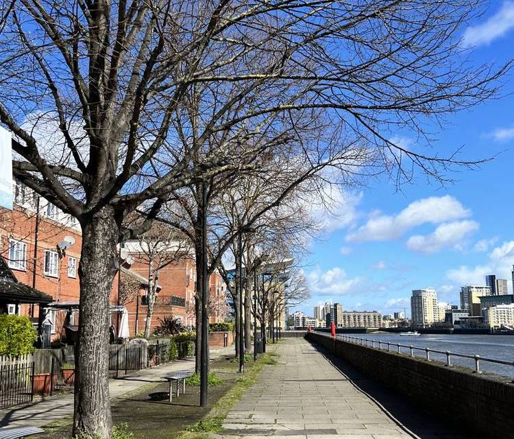 Preview of Surrey Quays Nature Wander