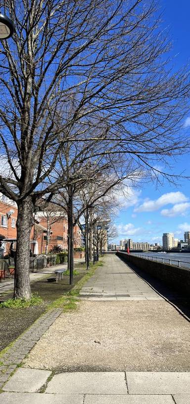 Preview of Surrey Quays Nature Wander