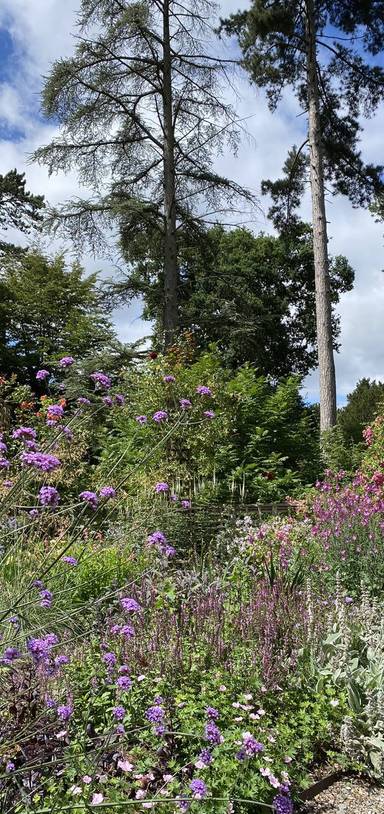 Preview of Visit Spetchley Park Gardens
