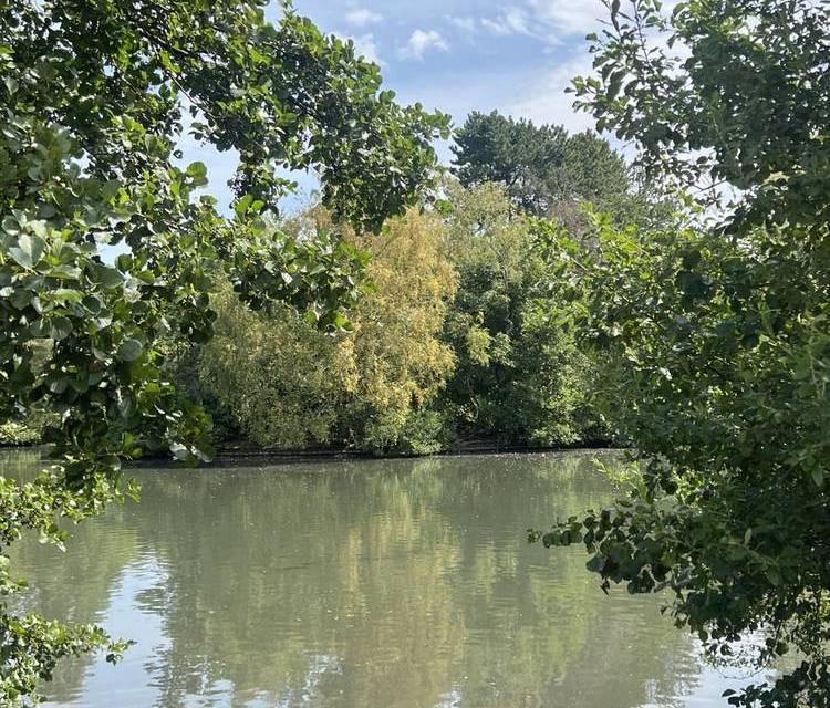 Preview of Calderstones Park Circular Walk