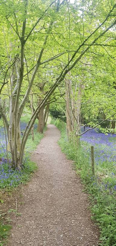 Preview of London Loop Section 13