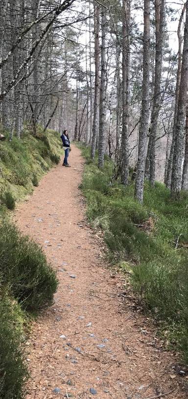 Preview of Corrieshalloch Gorge