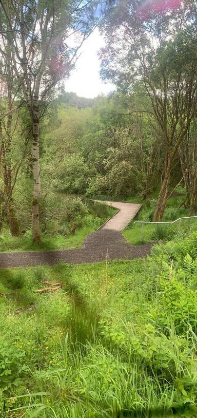 Preview of Carluke - Nature Reserve Loop