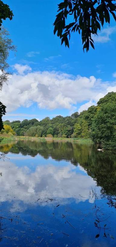 Preview of Tyne Riverside Country Park