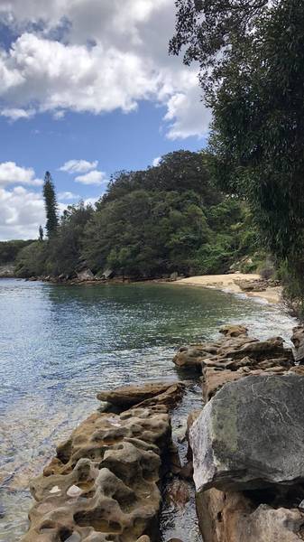 Preview of Rose Bay to Hermit Bay