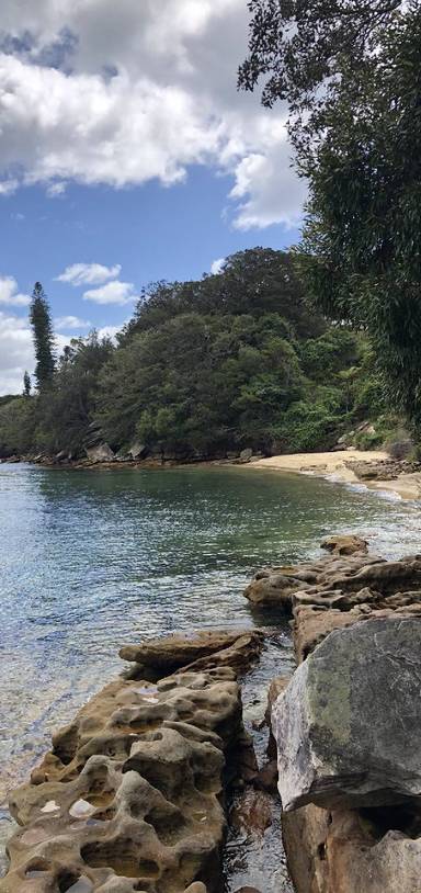 Preview of Rose Bay to Hermit Bay