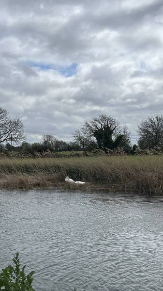 Preview of Cambridge to Ely river Cam walk