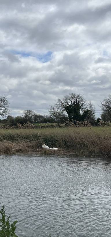 Preview of Cambridge to Ely river Cam walk