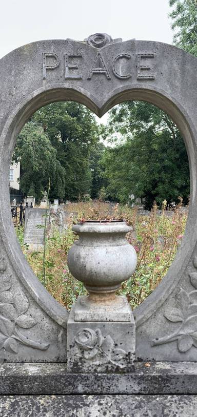 Preview of Tower Hamlets Cemetery woods & maze