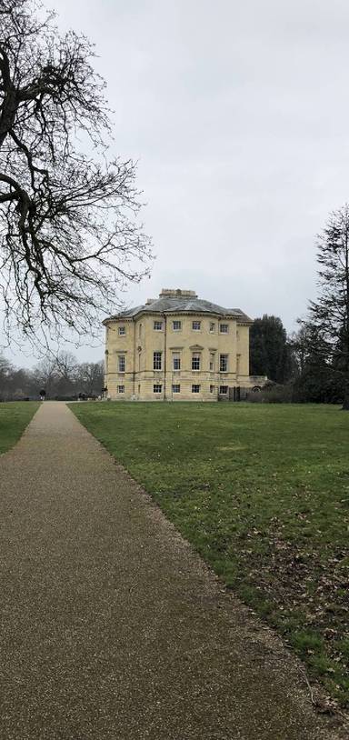 Preview of Handsome Danson