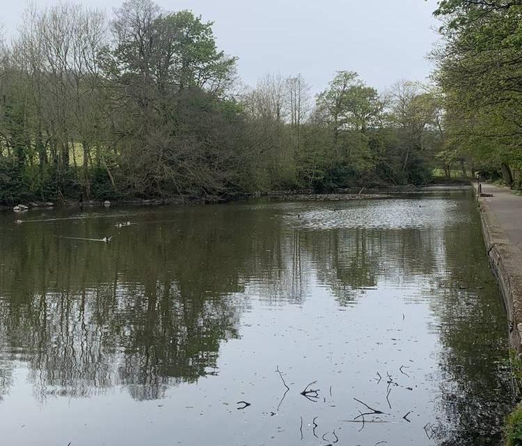 Preview of Wire Mill Dam