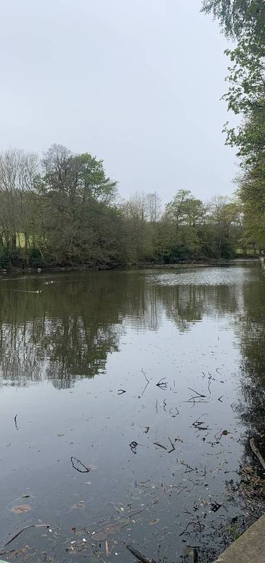 Preview of Wire Mill Dam