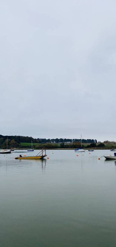 Preview of Deben Estuary Walk - Step Free