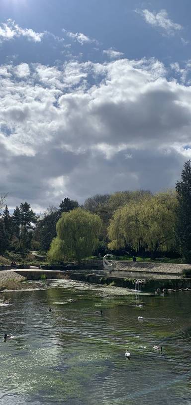 Preview of Harlow Town Park