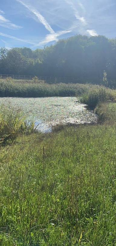Preview of Countesthorpe Loop