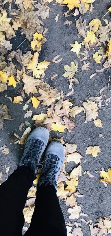 Preview of Autumn in the woods