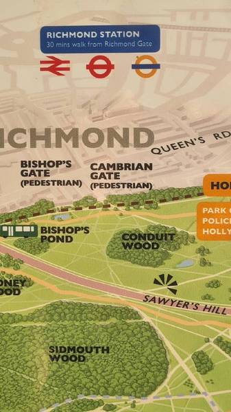 Preview of Tamsin Trail, Richmond Park