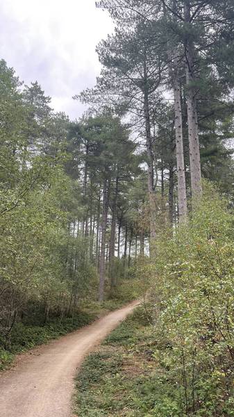 Preview of Freshfield to Ainsdale Trail