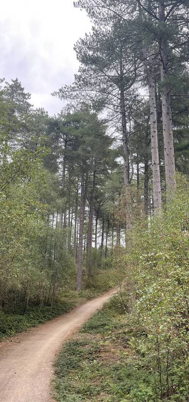 Preview of Freshfield to Ainsdale Trail