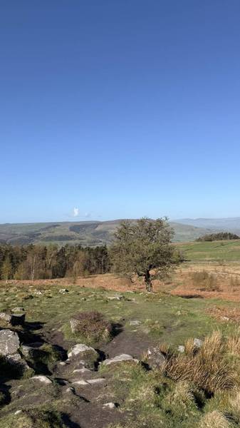 Preview of A Quick Dose of Nature