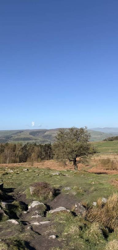 Preview of A Quick Dose of Nature