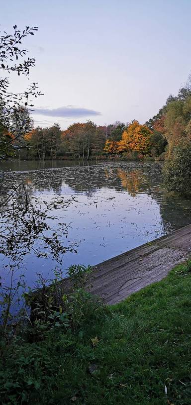 Preview of Moses Gate Country Park