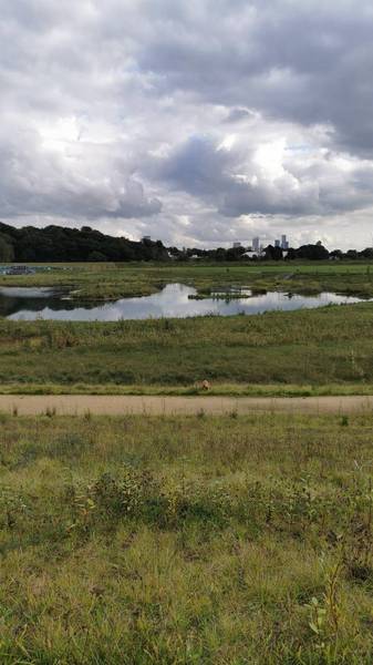 Preview of Kersal Wetlands