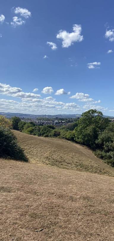 Preview of Ludwell Valley Butterfly Trail