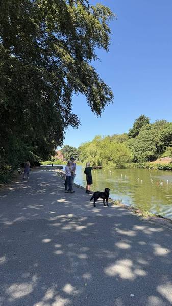 Preview of An Ashton Park Promenade