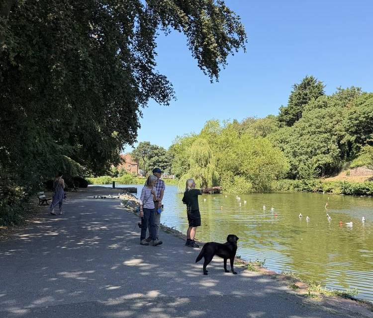 Preview of Ashton Park Circular Promenade