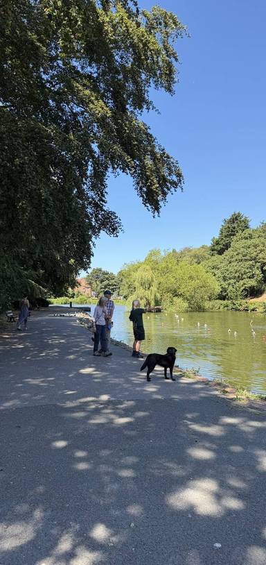 Preview of An Ashton Park Promenade