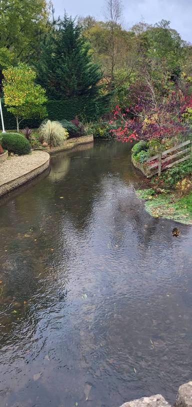 Preview of Looping River Avon in Malmesbury