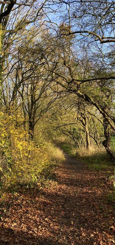 Preview of Magnolia Park & Nature Reserve Walk