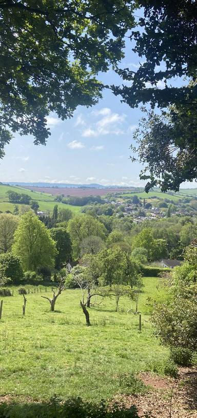Preview of Exeter Green Circle - Anticlockwise
